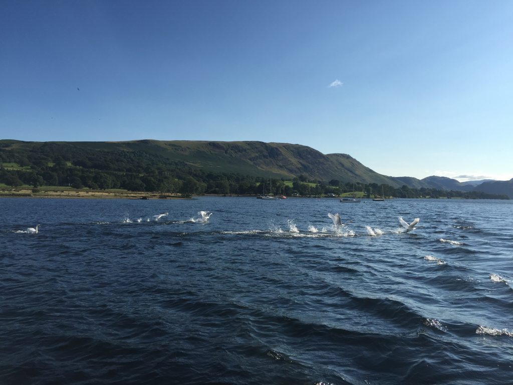Lake District Campsite