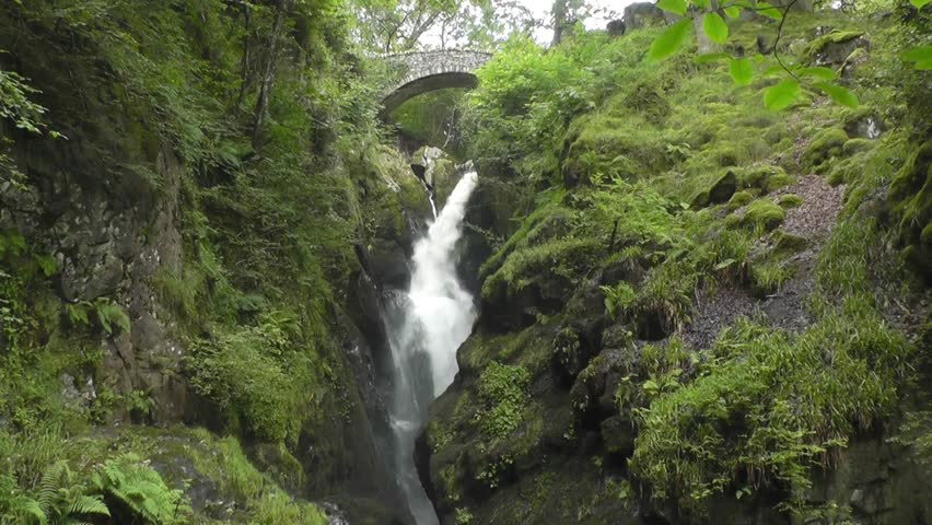 Aira Force