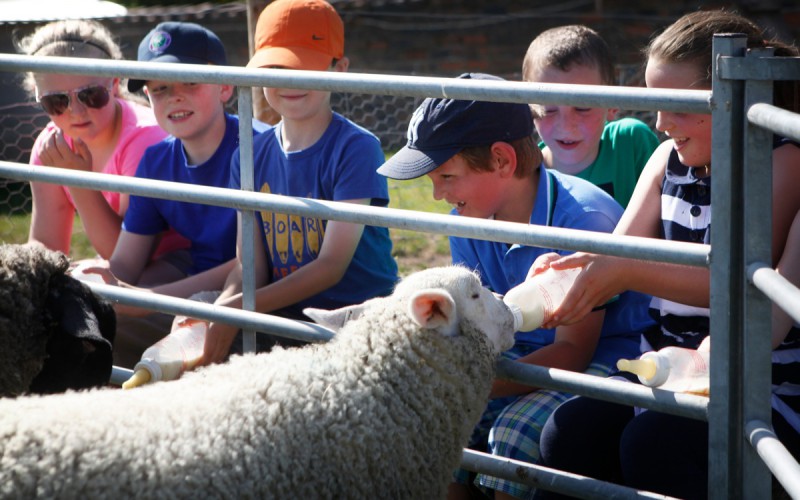 Walby Farm Park