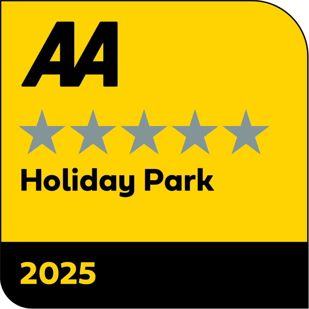 Lake District Campsite